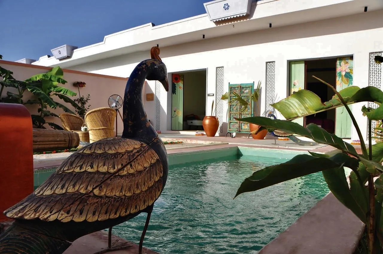 Parijat Private Pool Villa 1, 2 And 3 Bhk Udaipur
